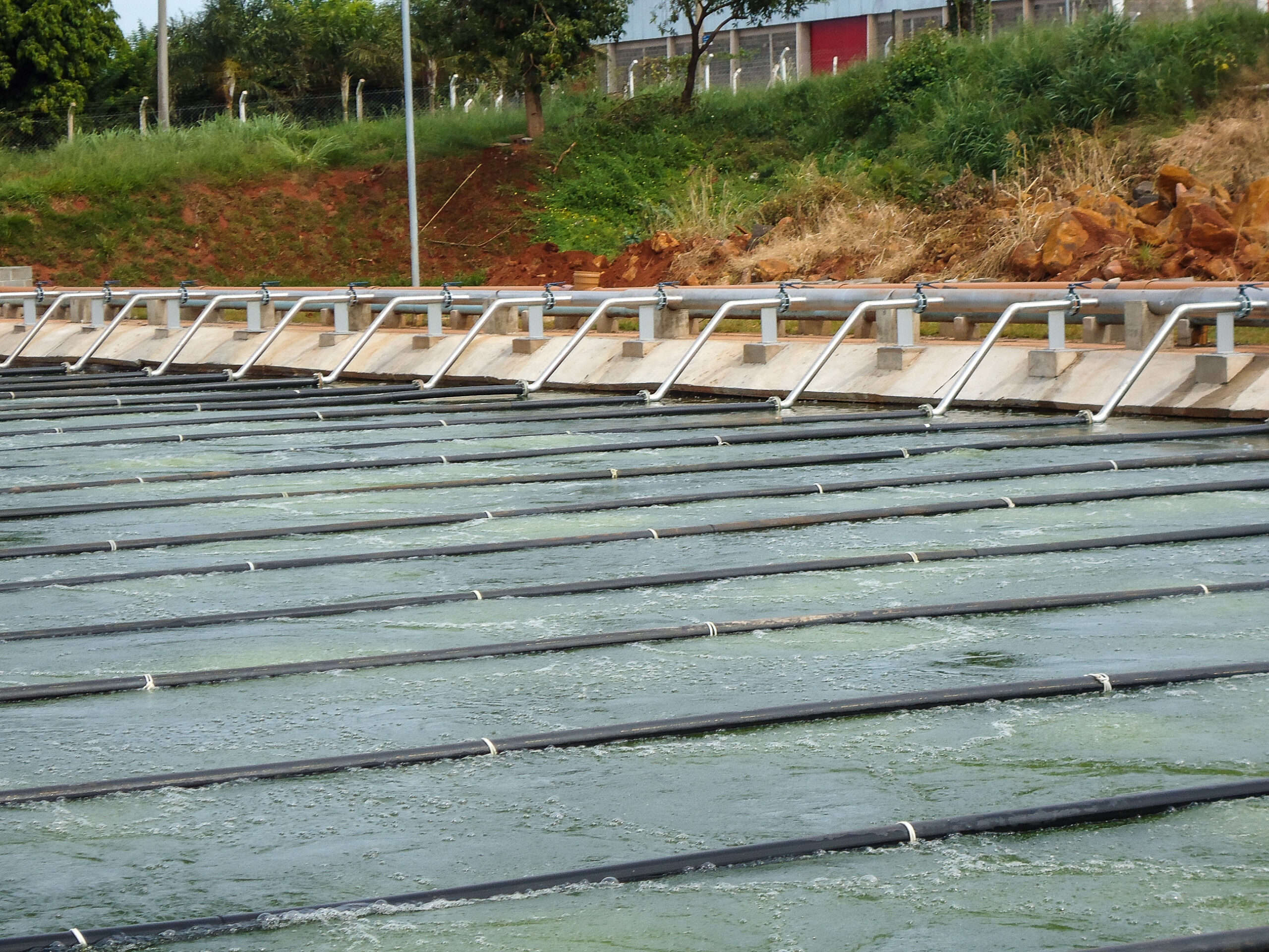 Sistema de Aeração Removível Air Float